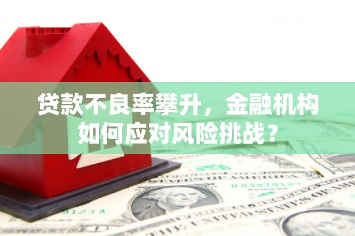 电白贷款不良率攀升，金融机构如何应对风险挑战？