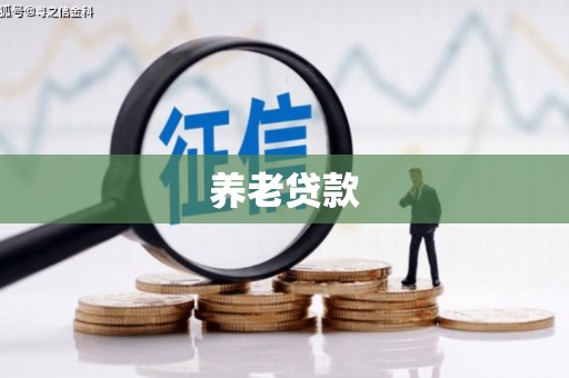 电白养老贷款