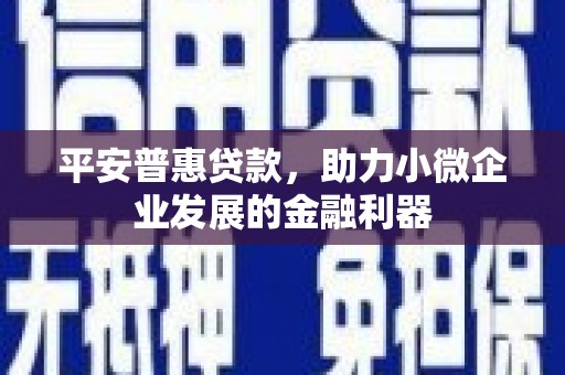电白平安普惠贷款，助力小微企业发展的金融利器