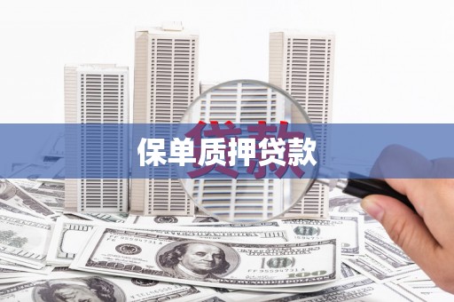 电白保单质押贷款