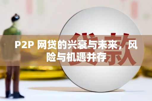 电白P2P 网贷的兴衰与未来，风险与机遇并存