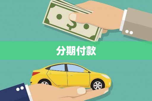 电白分期付款