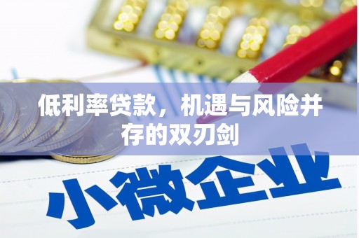 电白低利率贷款，机遇与风险并存的双刃剑
