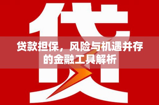电白贷款担保，风险与机遇并存的金融工具解析