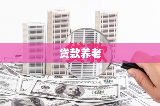 电白贷款养老