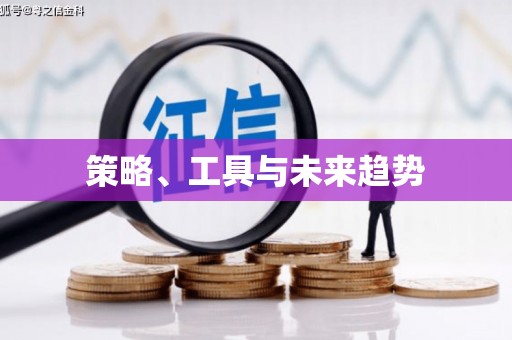 电白策略、工具与未来趋势