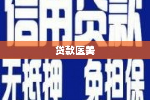 电白贷款医美