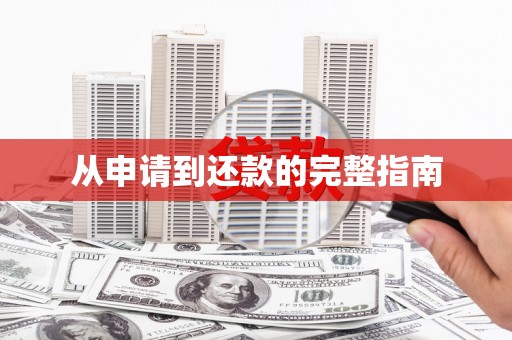 电白从申请到还款的完整指南