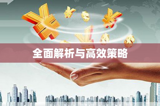 电白全面解析与高效策略