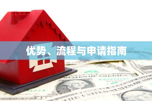 电白优势、流程与申请指南