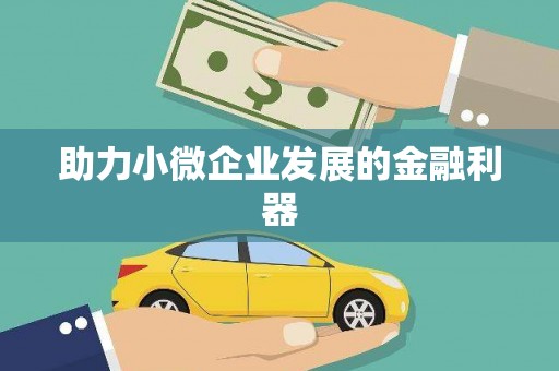 电白助力小微企业发展的金融利器