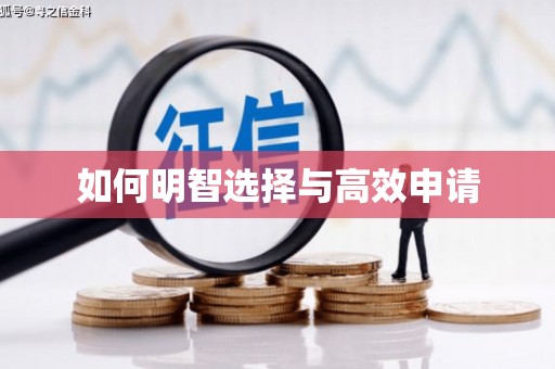 电白如何明智选择与高效申请