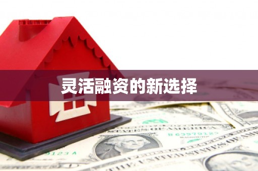 电白灵活融资的新选择
