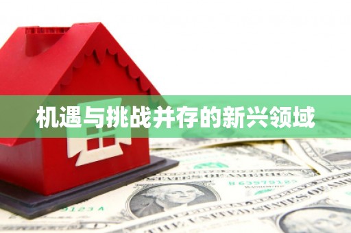 电白机遇与挑战并存的新兴领域