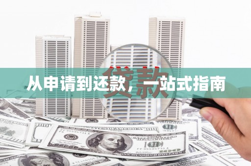 电白从申请到还款，一站式指南