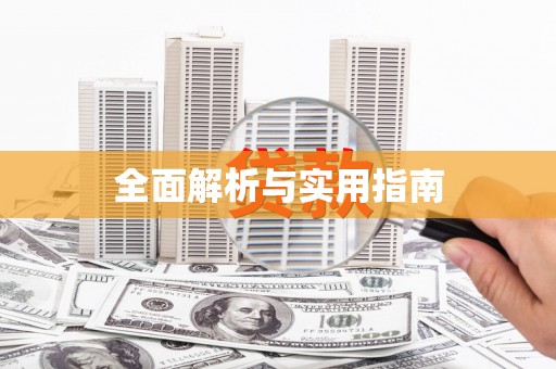 电白全面解析与实用指南