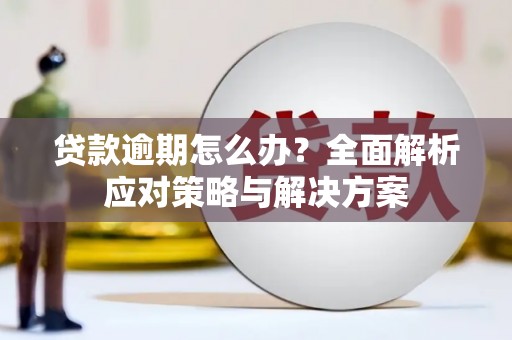 电白贷款逾期怎么办？全面解析应对策略与解决方案