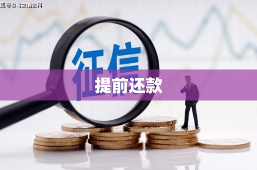 电白提前还款