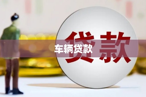 电白车辆贷款